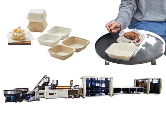 Mesin Blister Burger Box Line Mesin Wadah Makanan Biodegradable Sekali Pakai